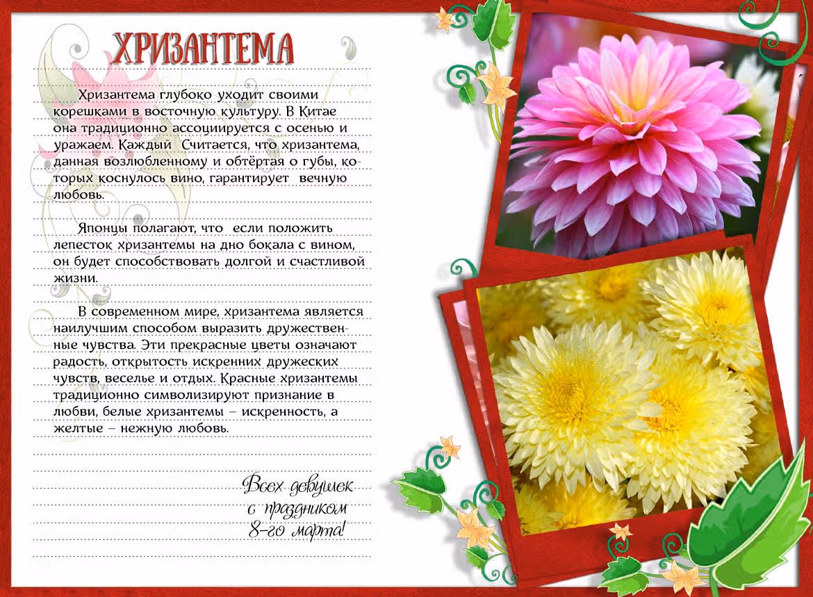 Блистательный брак — Том 1 · Глава 10, страница 11