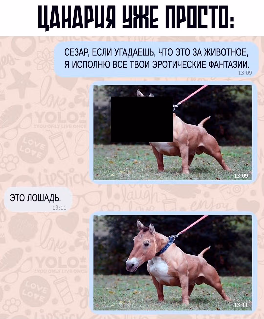 Выжить в качестве жены героя — Том 1 · Глава 88, страница 7