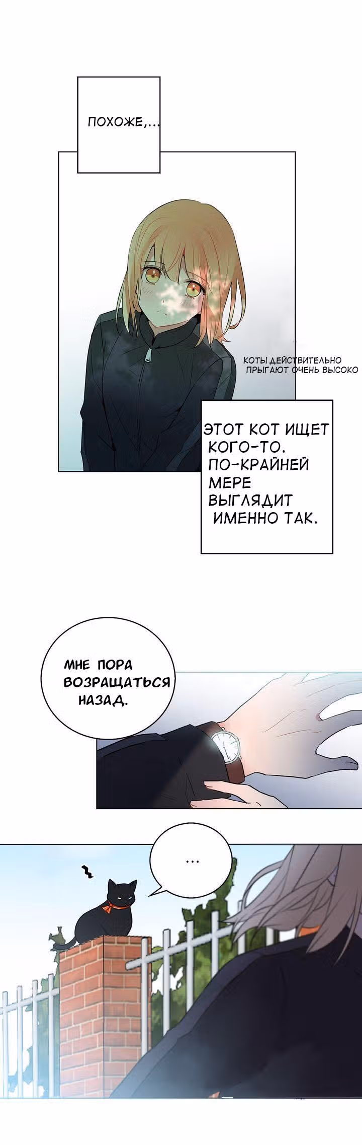 Невеста Его Мяучества — Том 1 · Глава 3, страница 15