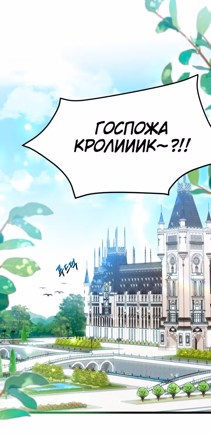 Симбиоз между кроликом и чёрной пантерой — Том 3 · Глава 134, страница 43