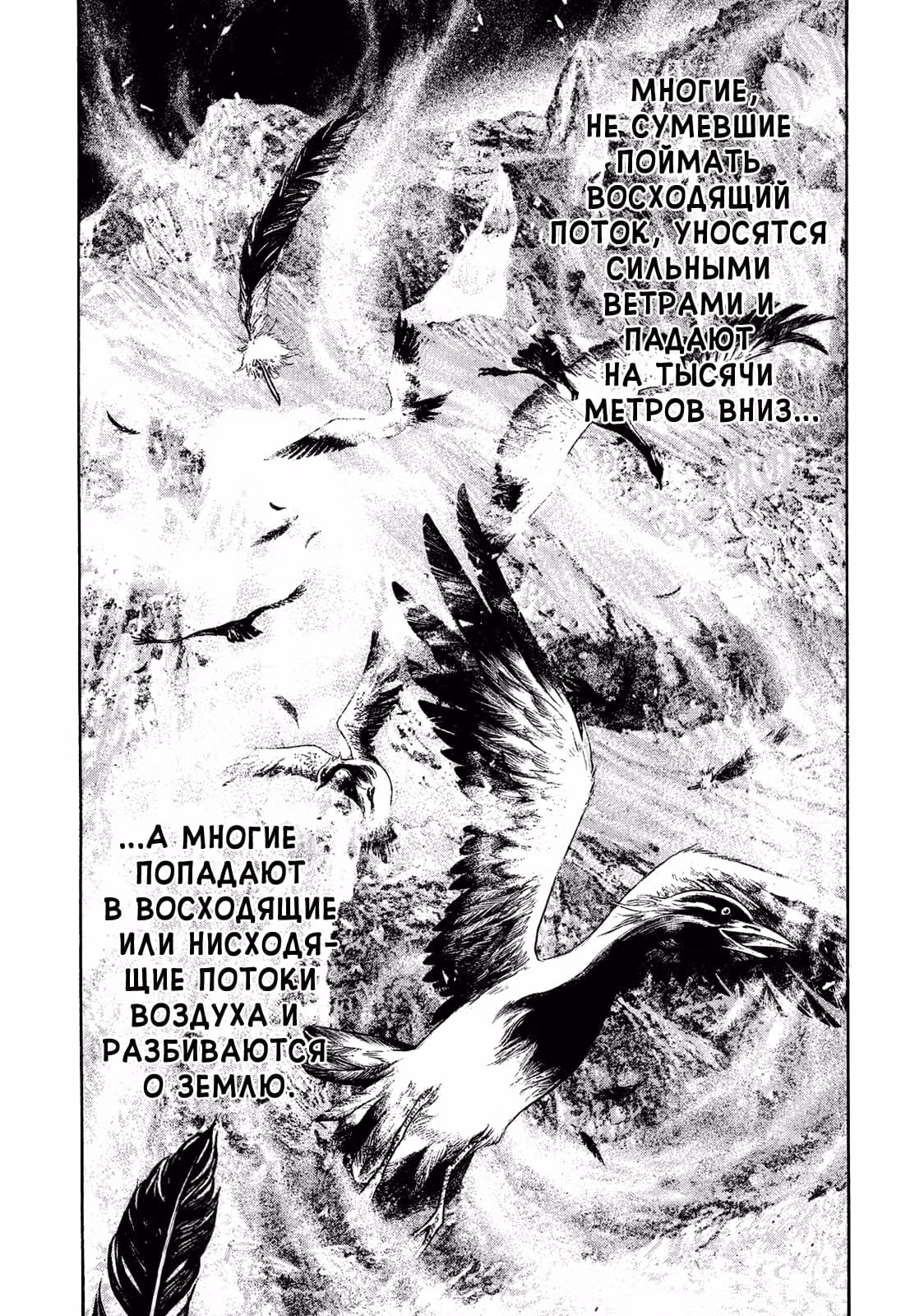 Скалолаз — Том 17 · Глава 168, страница 12
