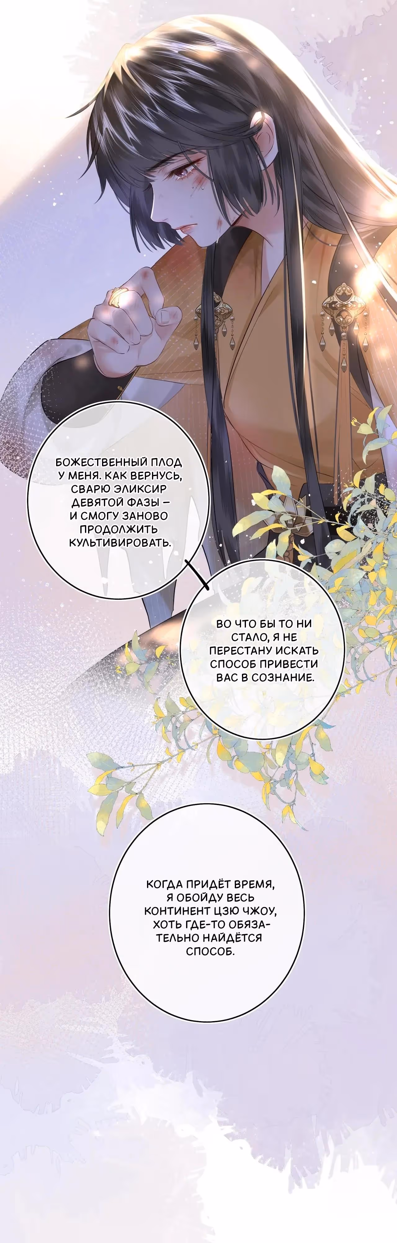 Божественный доктор – госпожа Феникс — Том 1 · Глава 12, страница 18