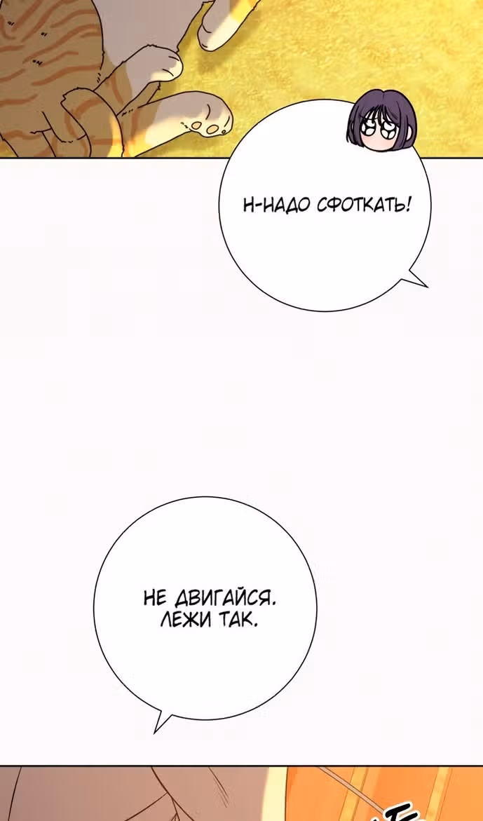 Операция: Настоящая любовь — Том 1 · Глава 99, страница 42