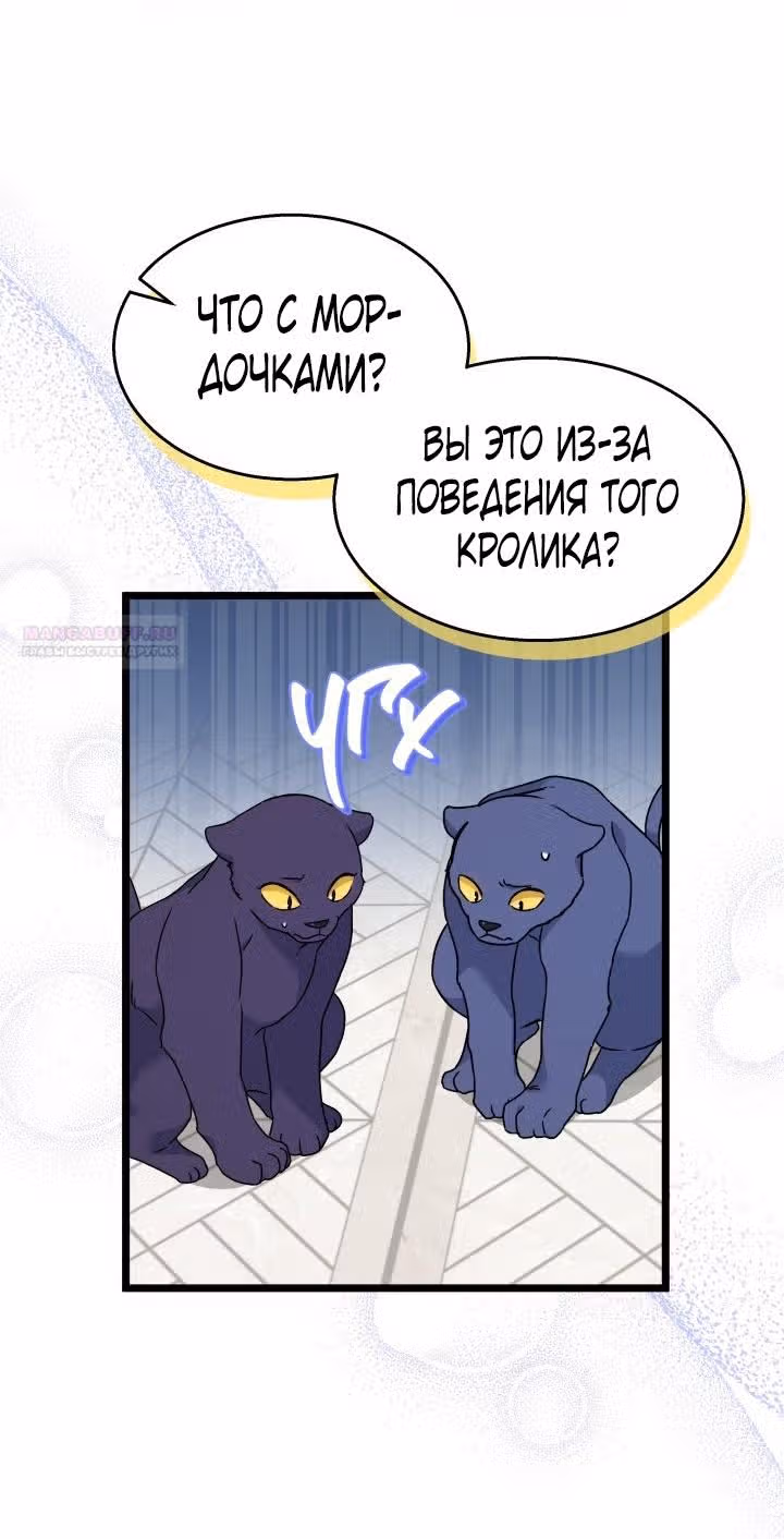 Симбиоз между кроликом и чёрной пантерой — Том 3 · Глава 155, страница 52