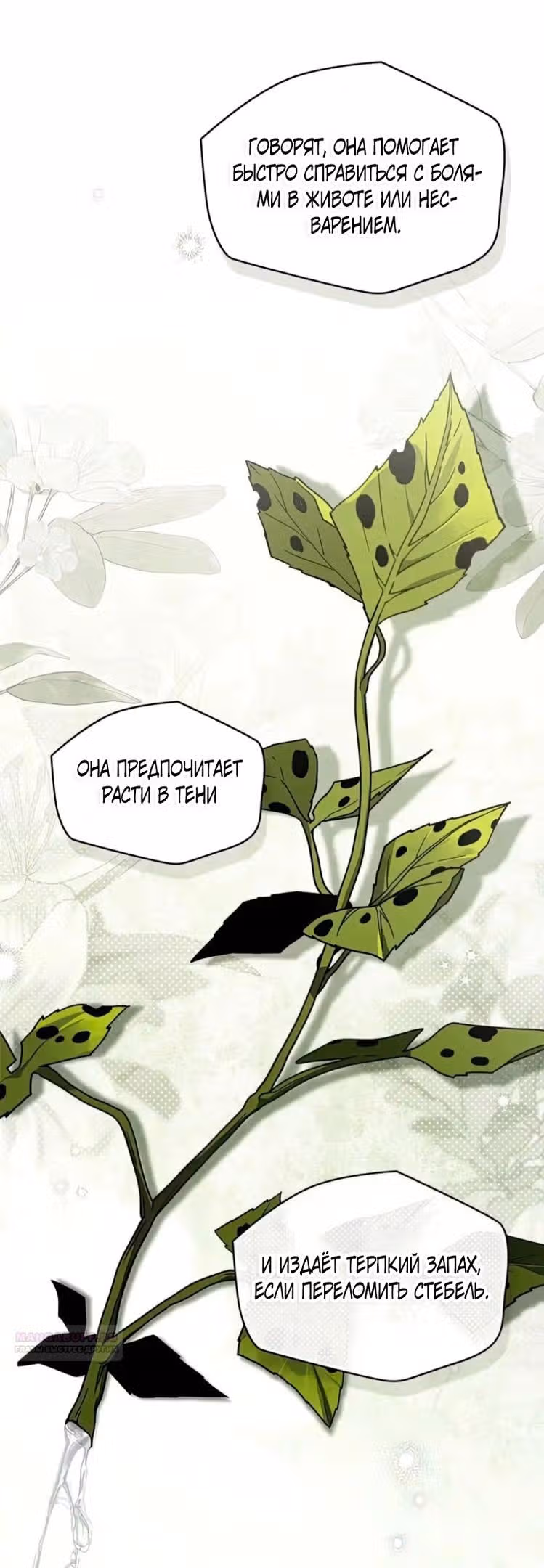 Под дубом — Том 4 · Глава 117, страница 6