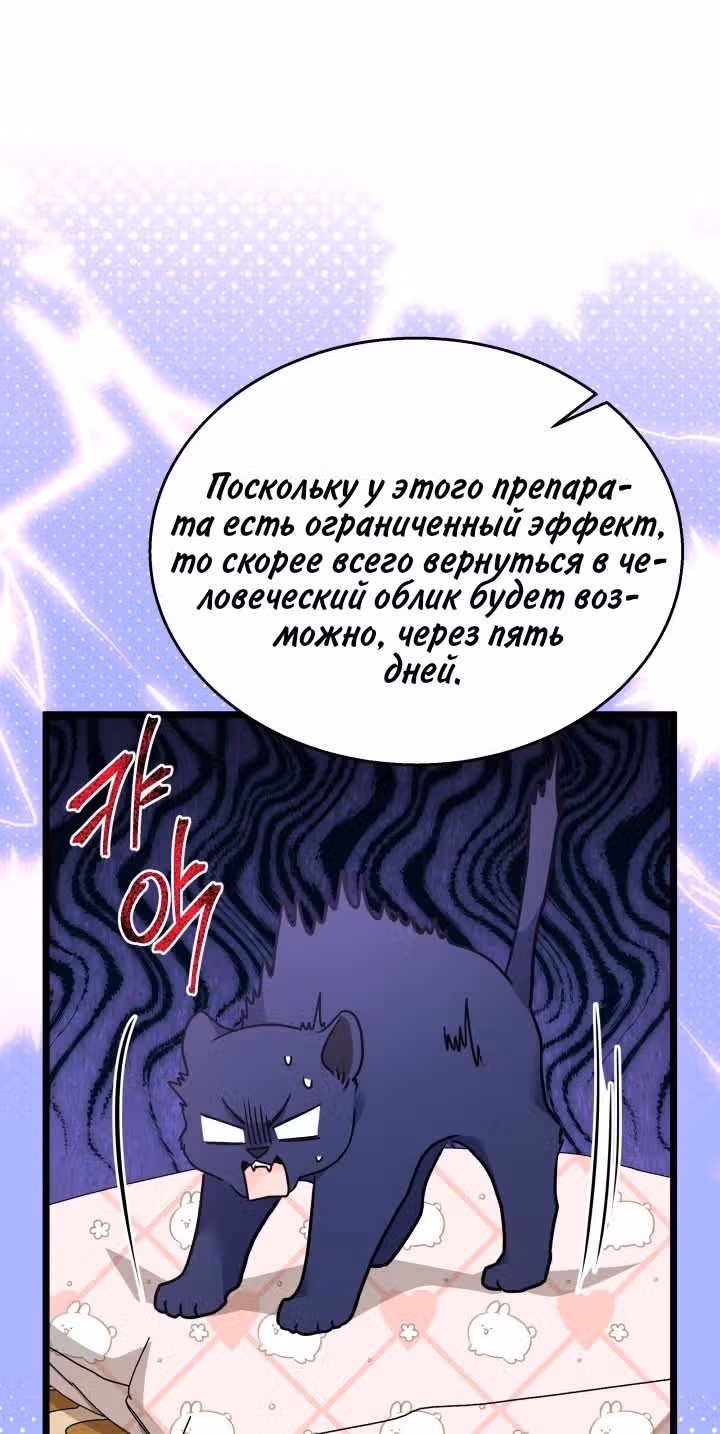 Симбиоз между кроликом и чёрной пантерой — Том 3 · Глава 160, страница 69