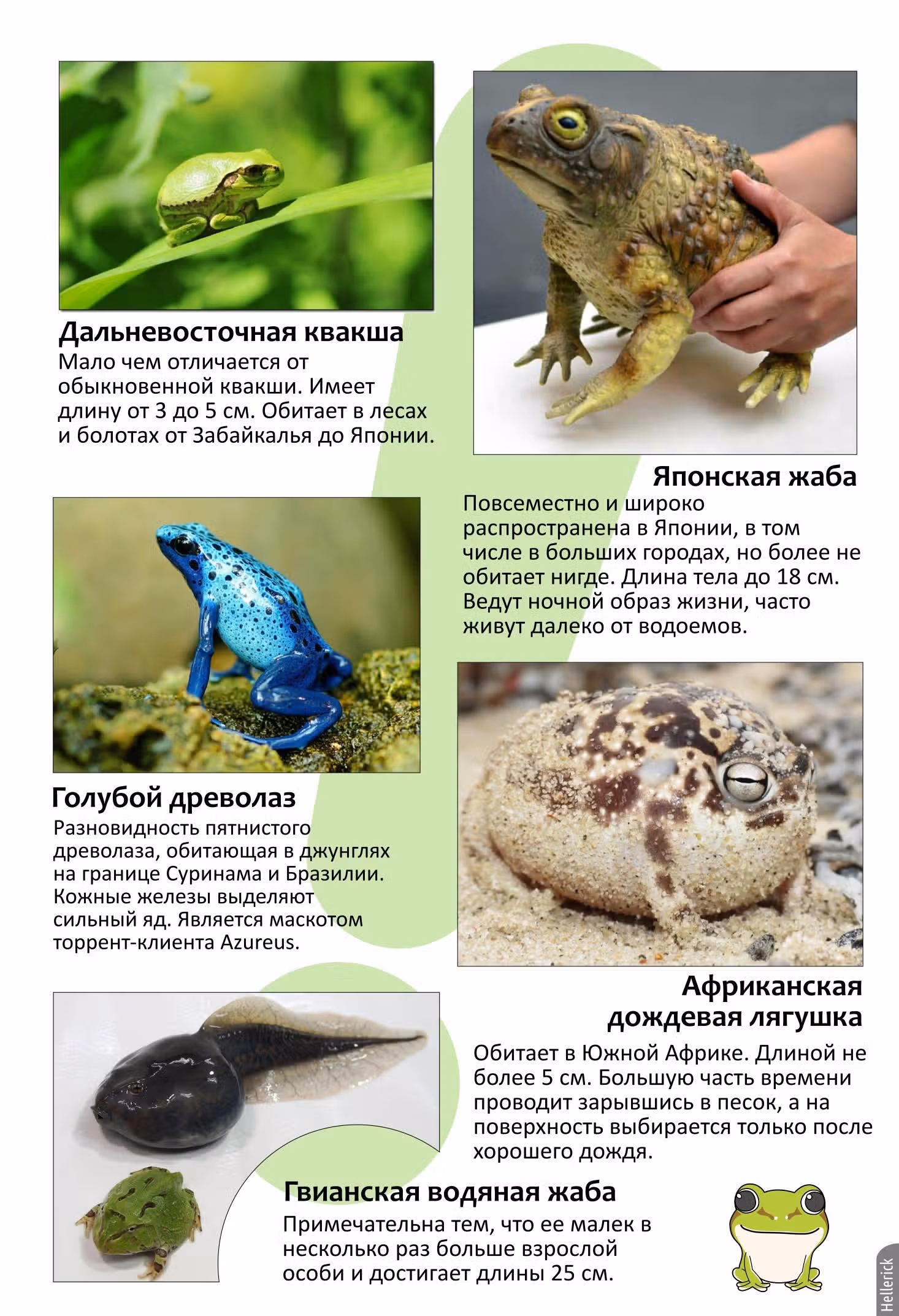 Ёцуба и! — Том 14 · Глава 94, страница 37