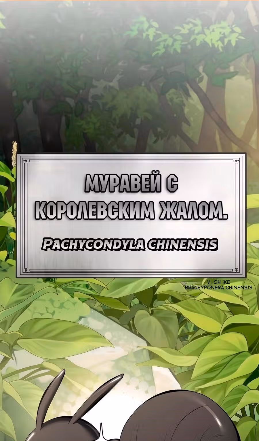 Знаток ядов из Сычуаньского клана Тан — Том 1 · Глава 29, страница 2
