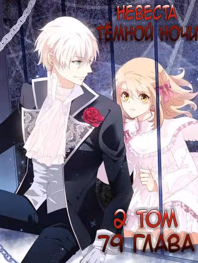 Невеста тёмной ночи — Том 2 · Глава 79, страница 1