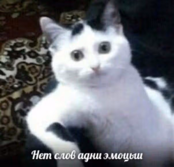 Убивающая любовь — Том 8 · Глава 46, страница 28
