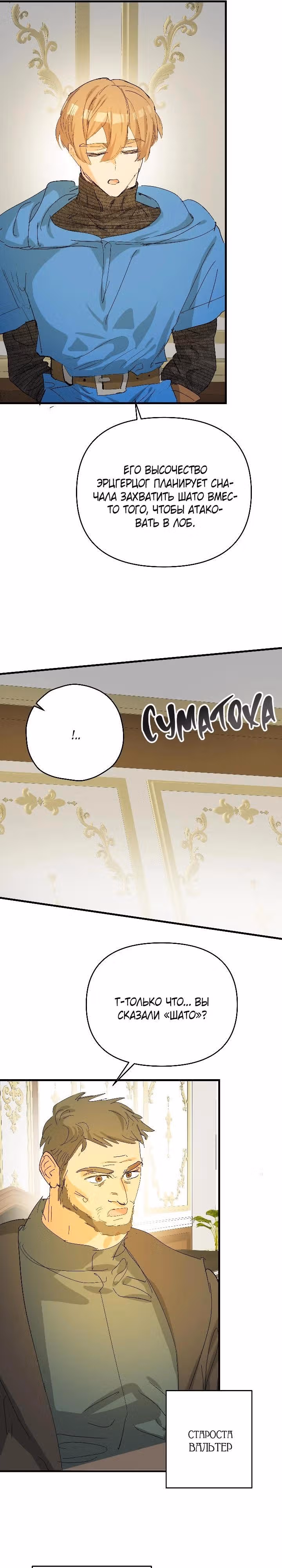 Сестра эрцгерцога - самозванка — Том 2 · Глава 65, страница 9