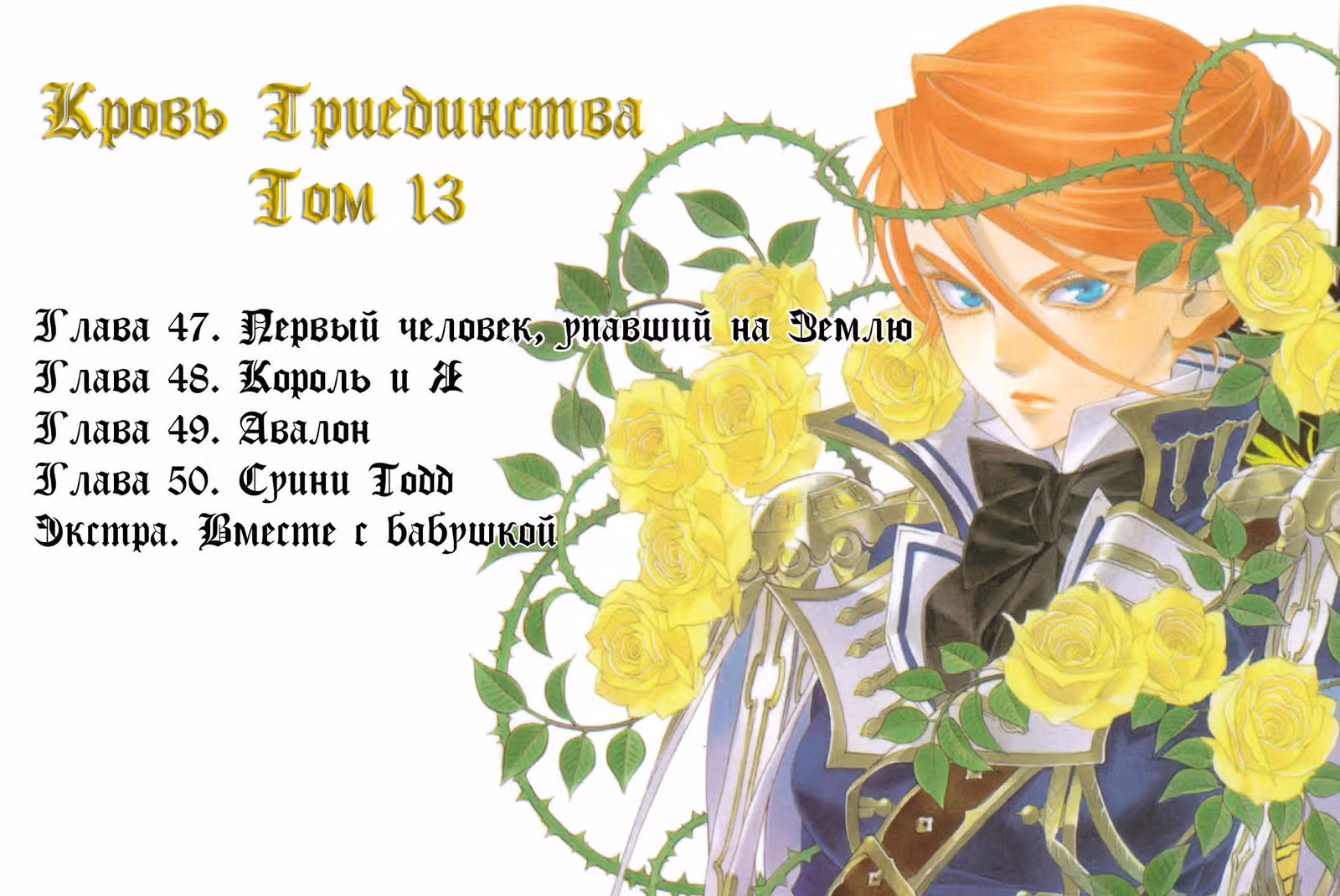 Кровь Триединства — Том 13 · Глава 47, страница 4