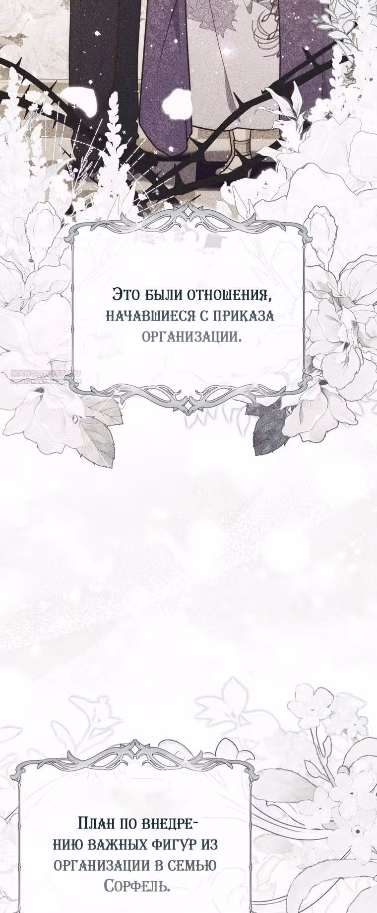 Принцесса-гадалка — Том 1 · Глава 84, страница 22