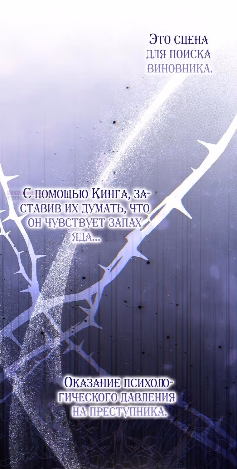 Принцесса-гадалка — Том 1 · Глава 77, страница 58