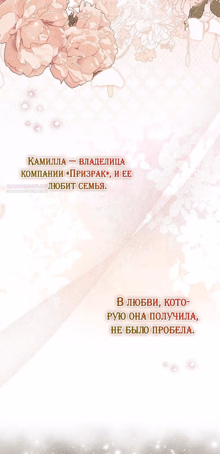 Принцесса-гадалка — Том 1 · Глава 79, страница 56