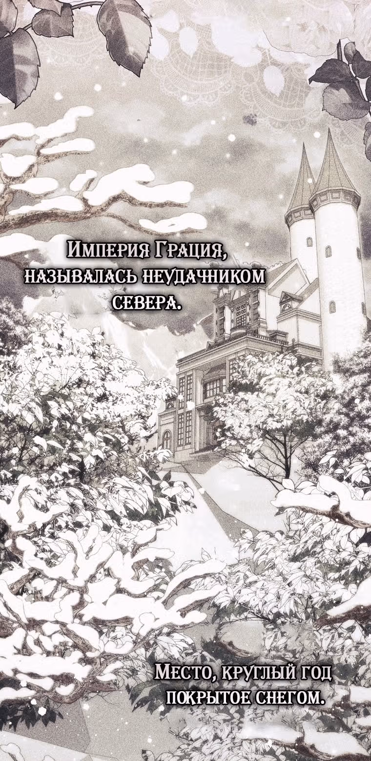 Принцесса-гадалка — Том 1 · Глава 87, страница 41