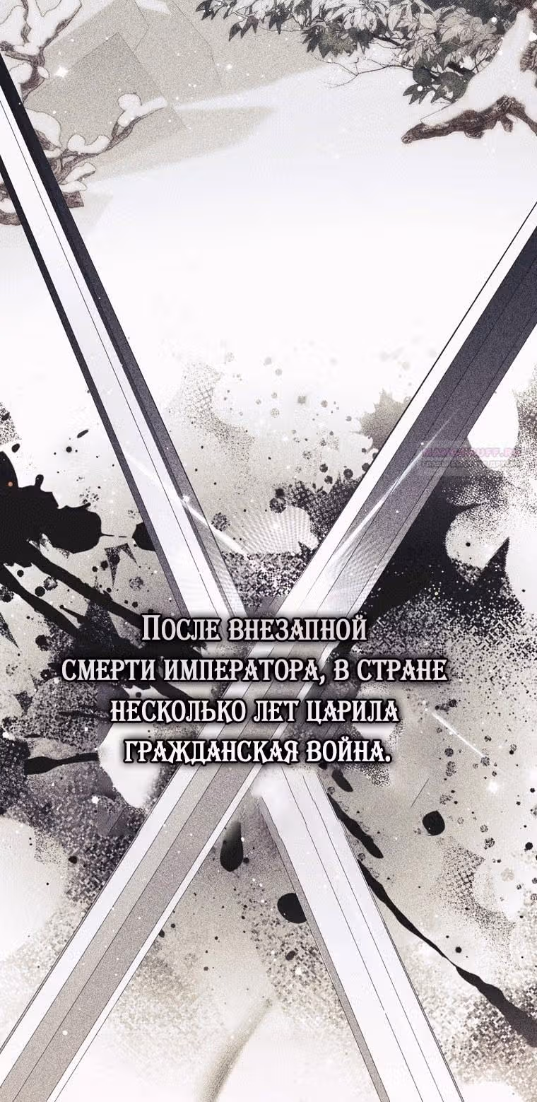 Принцесса-гадалка — Том 1 · Глава 87, страница 42