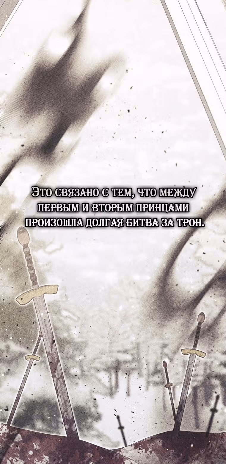Принцесса-гадалка — Том 1 · Глава 87, страница 43