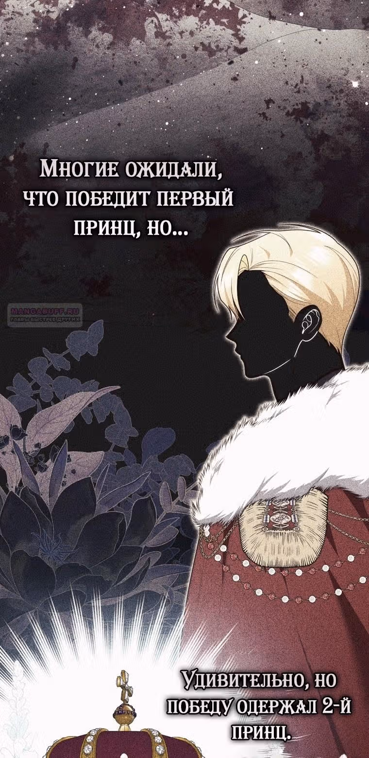 Принцесса-гадалка — Том 1 · Глава 87, страница 44