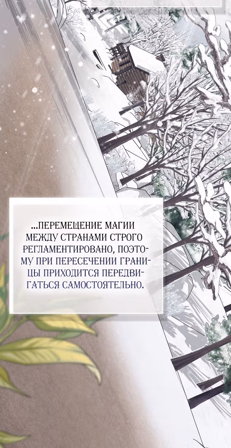 Принцесса-гадалка — Том 1 · Глава 89, страница 29