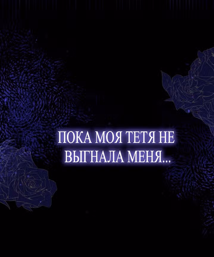 Всеобщая принцесса — Том 1 · Глава 16, страница 12