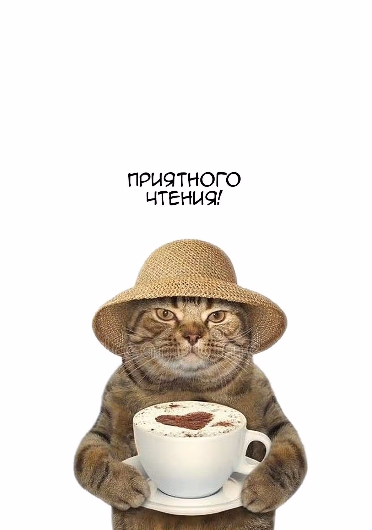 Мой дорогой детектив — Том 2 · Глава 6, страница 2