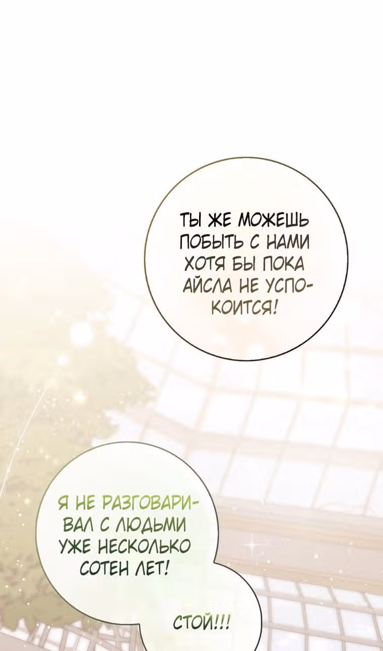 Принцесса-гадалка — Том 1 · Глава 92, страница 40