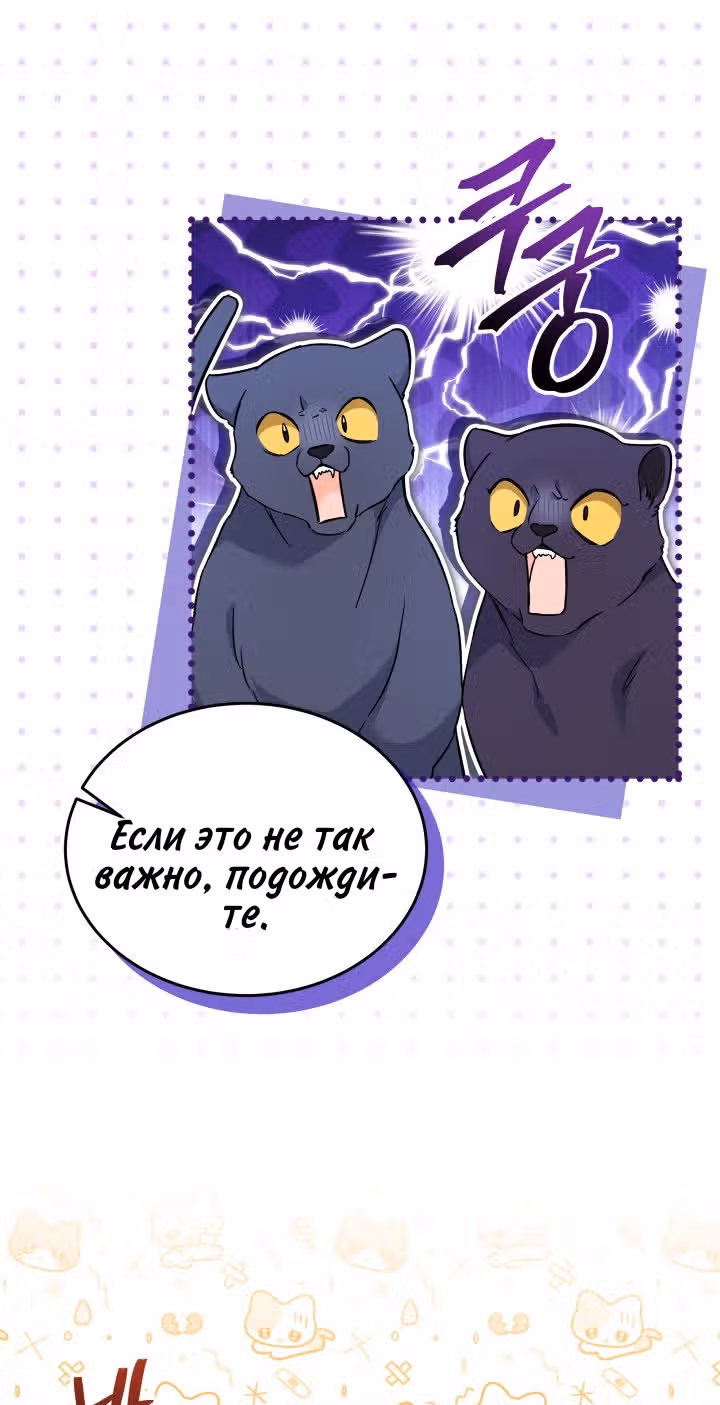 Симбиоз между кроликом и чёрной пантерой — Том 3 · Глава 185, страница 61