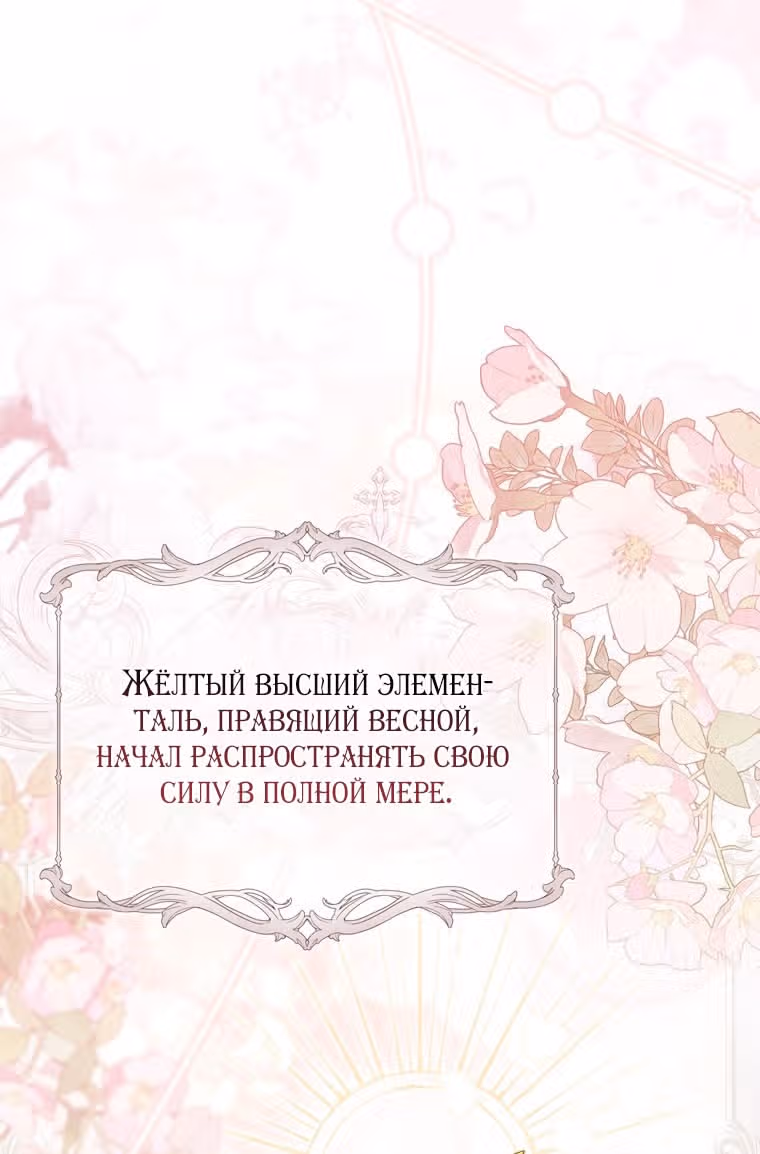 Принцесса-гадалка — Том 1 · Глава 96, страница 11