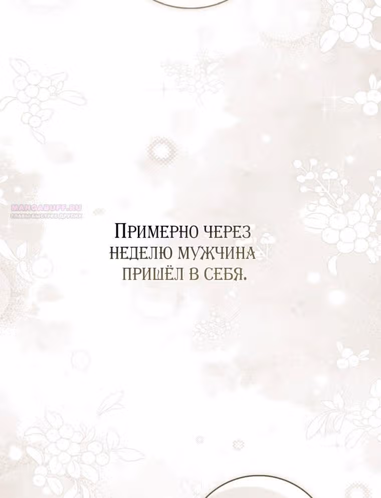 Принцесса-гадалка — Том 1 · Глава 99, страница 66