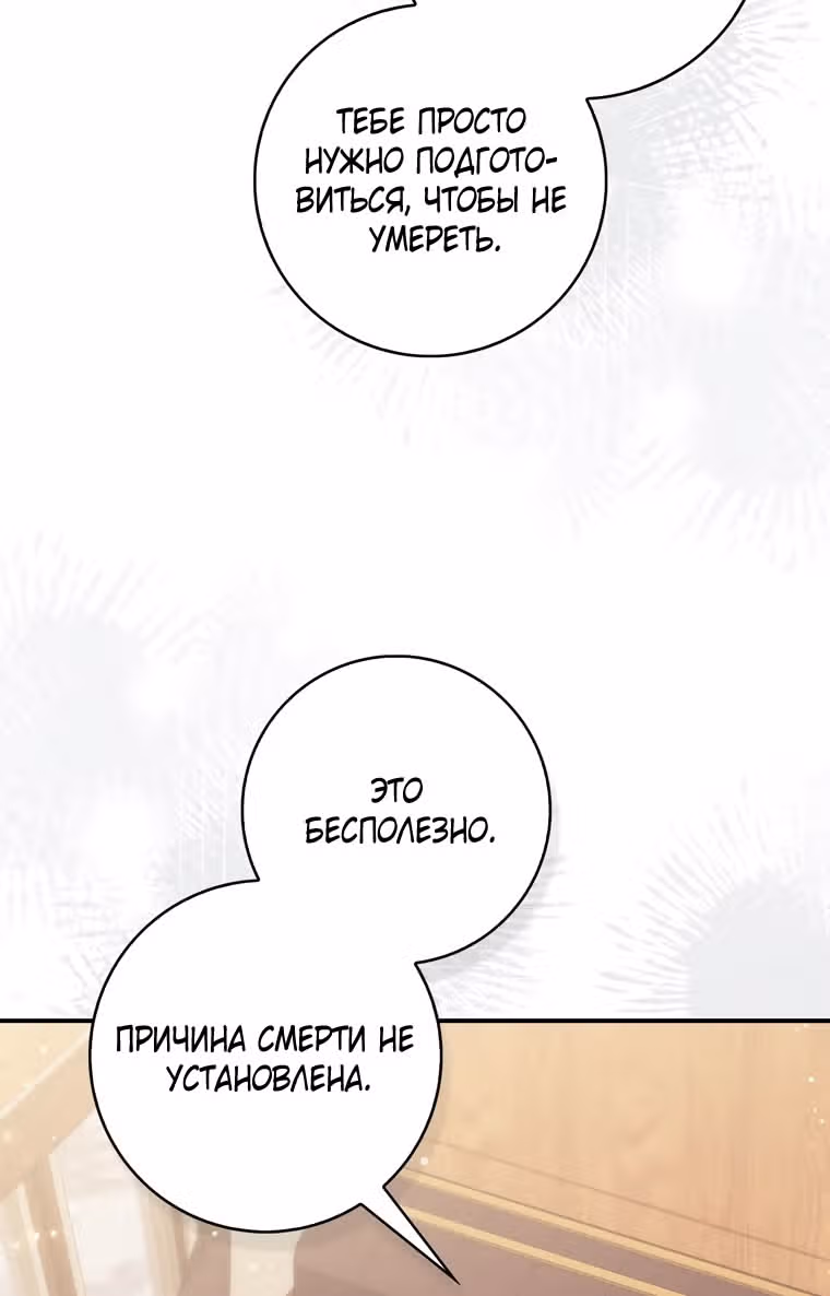 Принцесса-гадалка — Том 1 · Глава 113, страница 47
