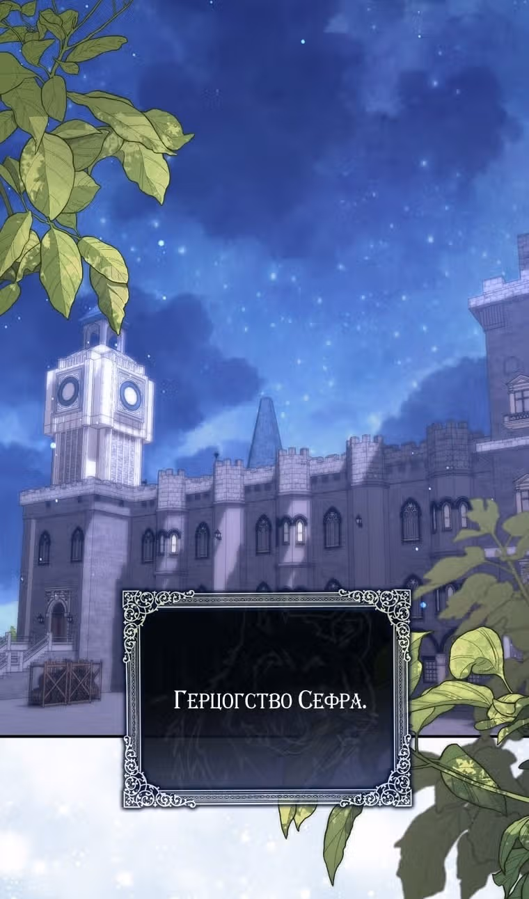 Принцесса-гадалка — Том 1 · Глава 109, страница 43