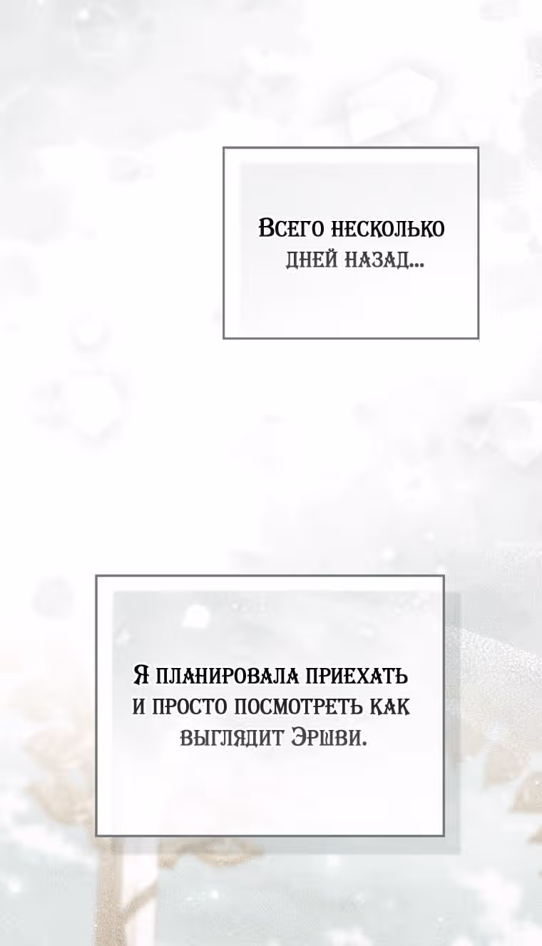 Принцесса-гадалка — Том 1 · Глава 115, страница 44