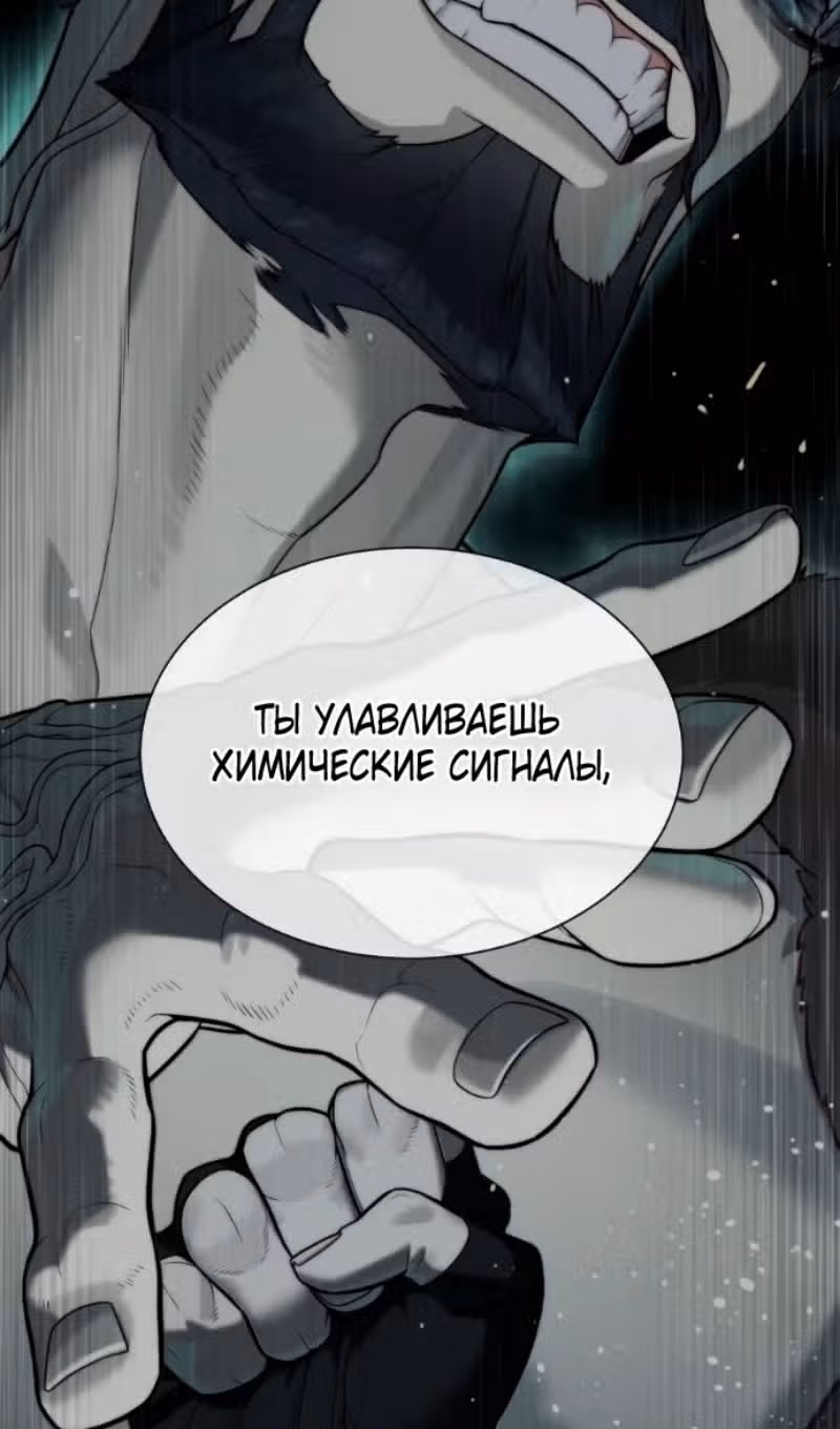 Убийца Педро — Том 1 · Глава 132, страница 46