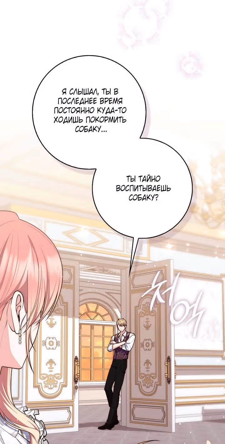 Принцесса-гадалка — Том 1 · Глава 145, страница 16