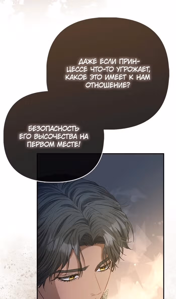 Всеобщая принцесса — Том 2 · Глава 74, страница 8