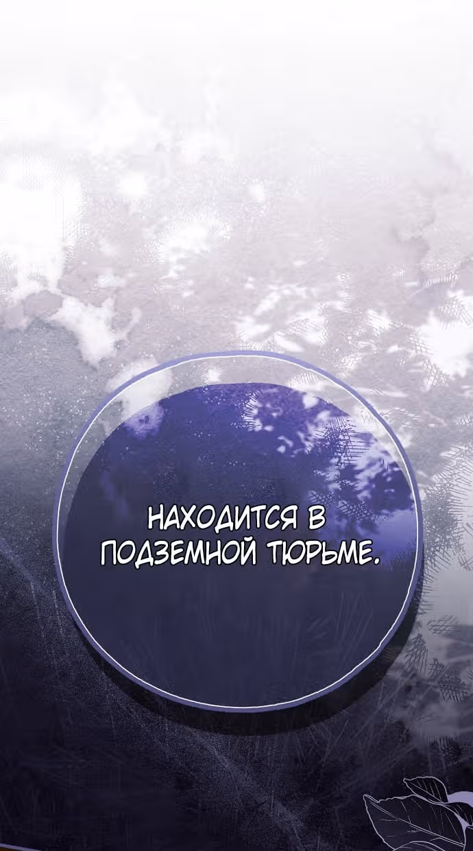 Мое тело кем-то одержимо — Том 1 · Глава 71, страница 9