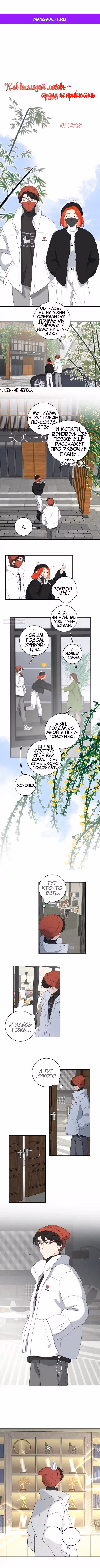 Как выглядит любовь - сердцу не прикажешь — Том 2 · Глава 47, страница 1