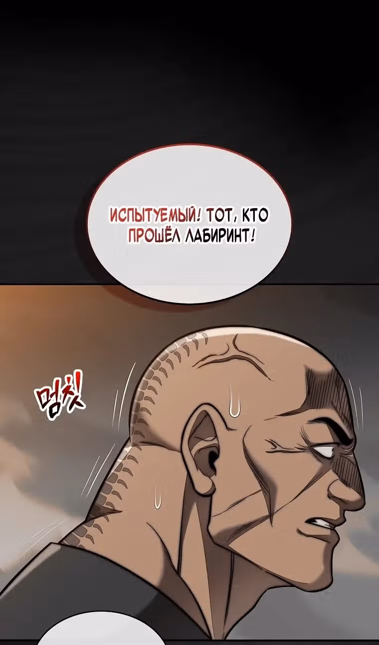 31-я фигура переворачивает доску вверх дном — Том 1 · Глава 106, страница 58