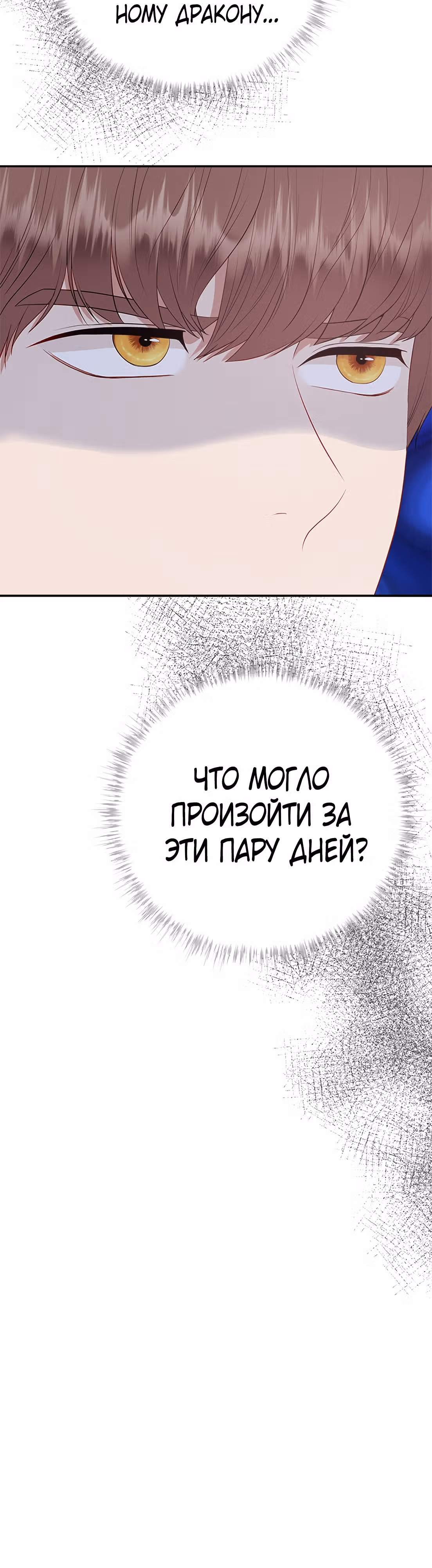 Для чего живет этот злой дракон? — Том 1 · Глава 44, страница 16