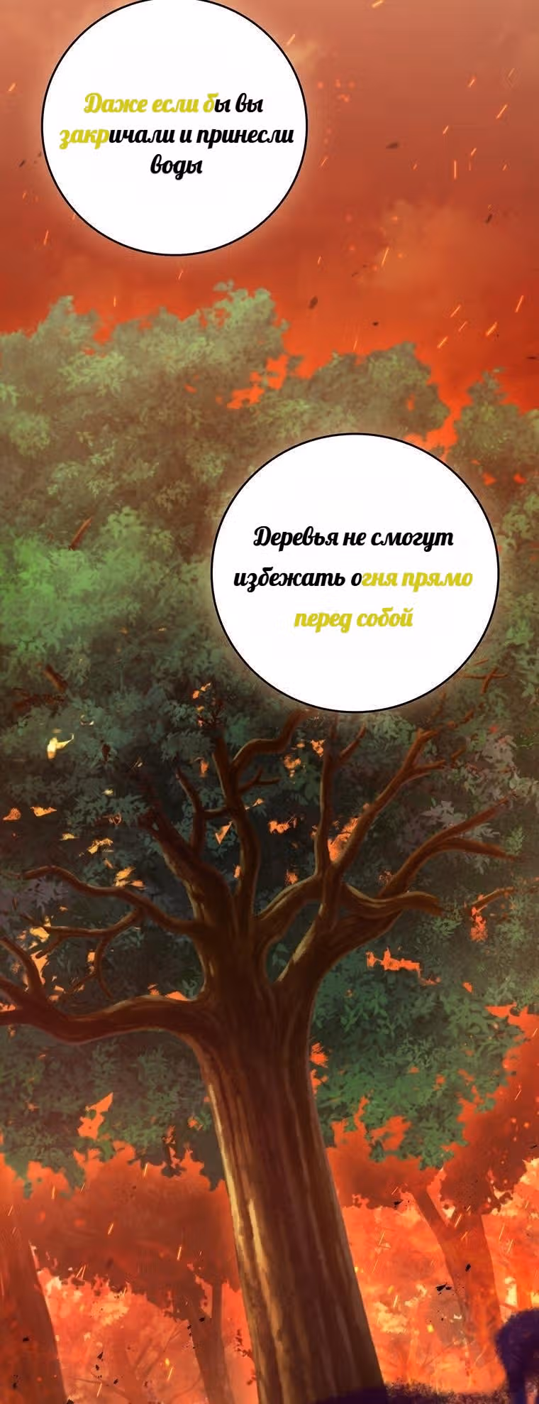 Леди-дракон — Том 1 · Глава 36, страница 39