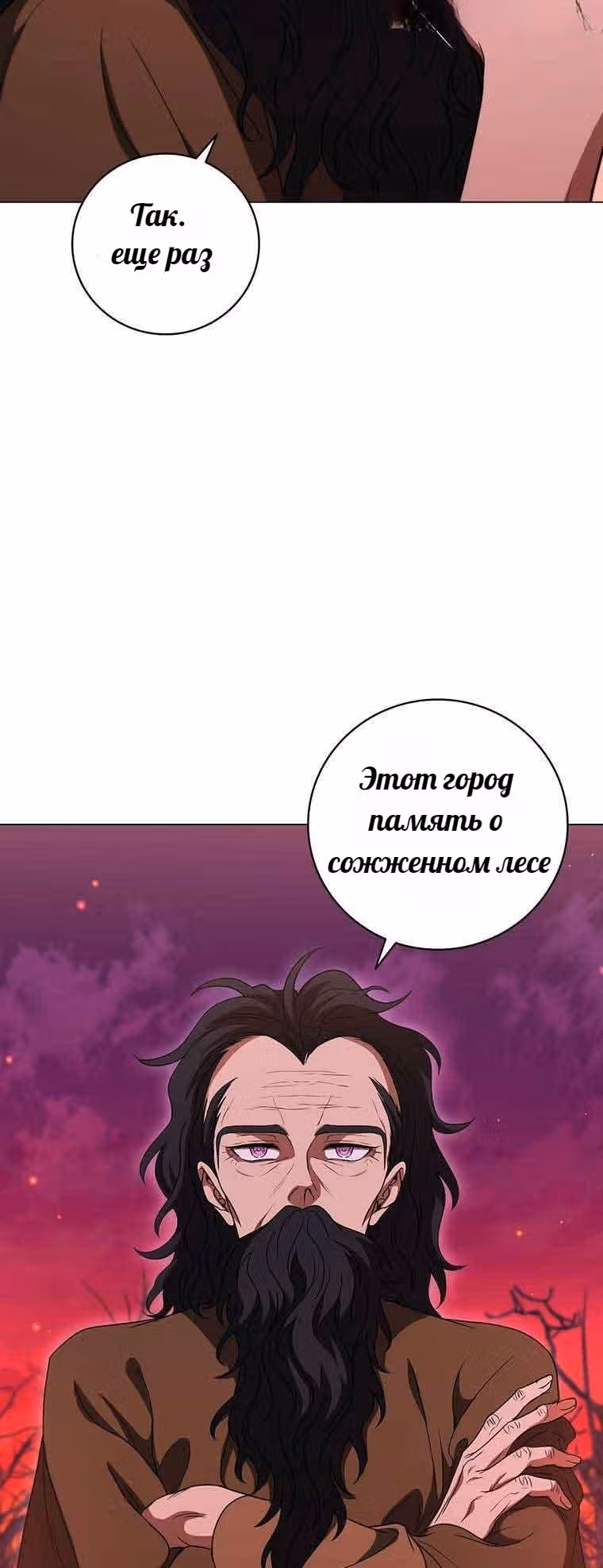 Леди-дракон — Том 1 · Глава 37, страница 21