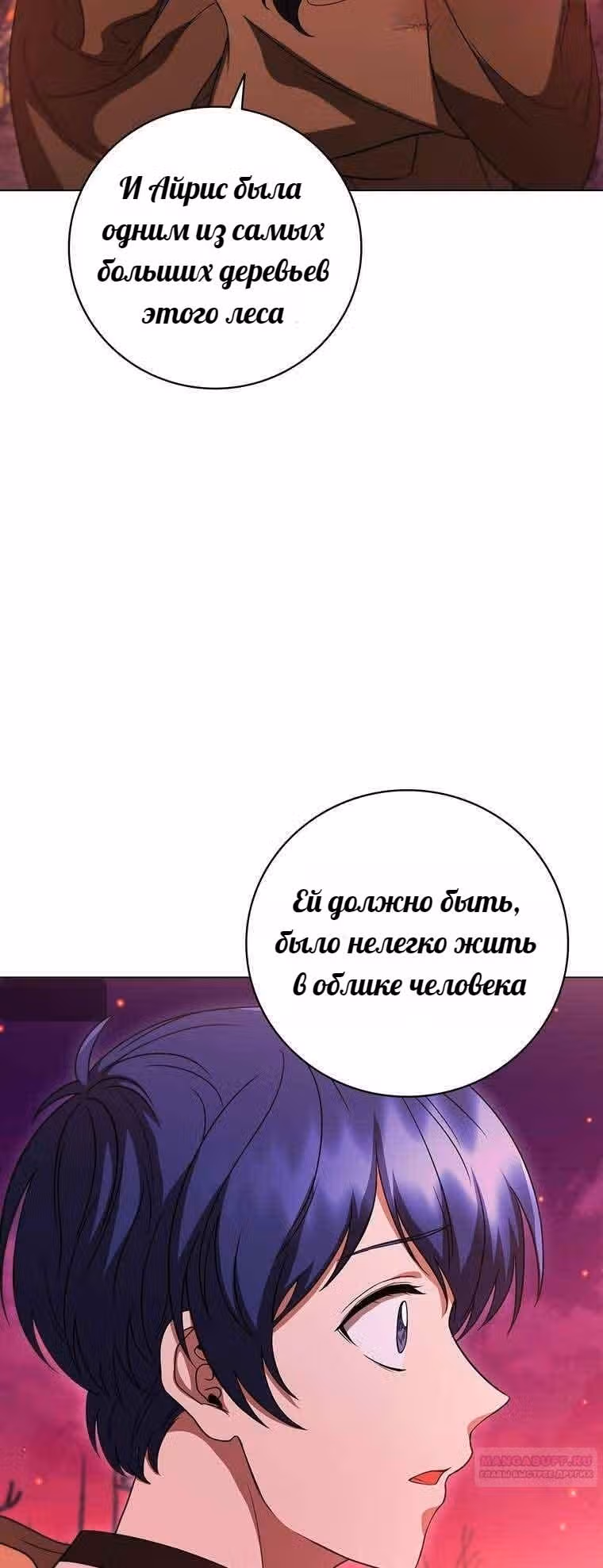 Леди-дракон — Том 1 · Глава 37, страница 22