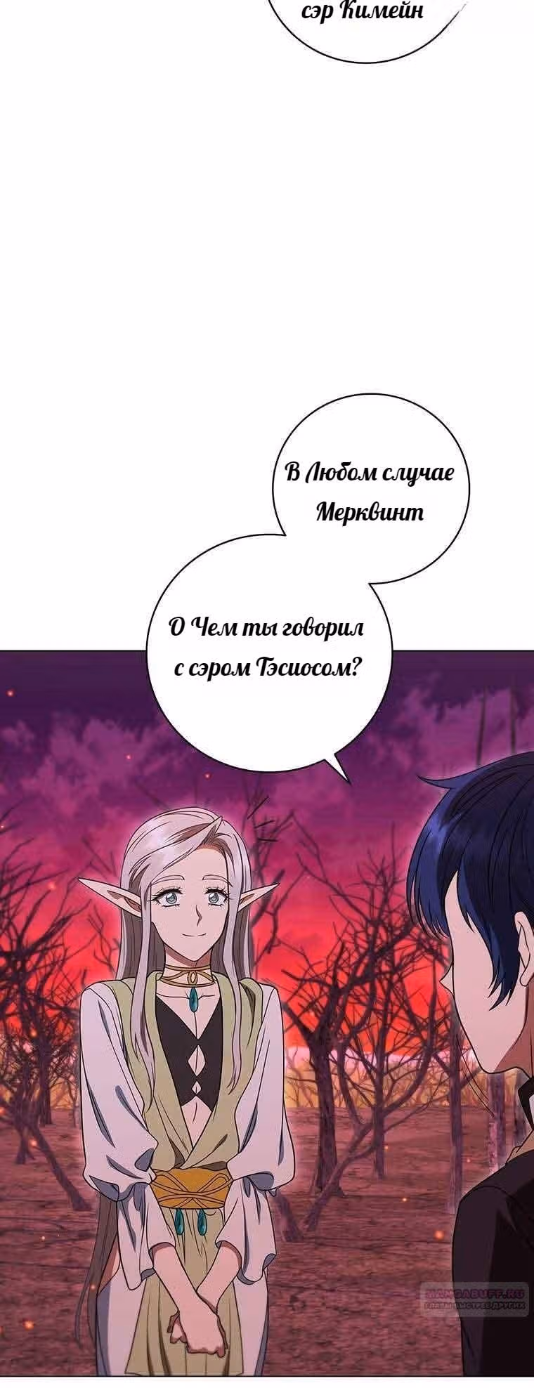 Леди-дракон — Том 1 · Глава 37, страница 48