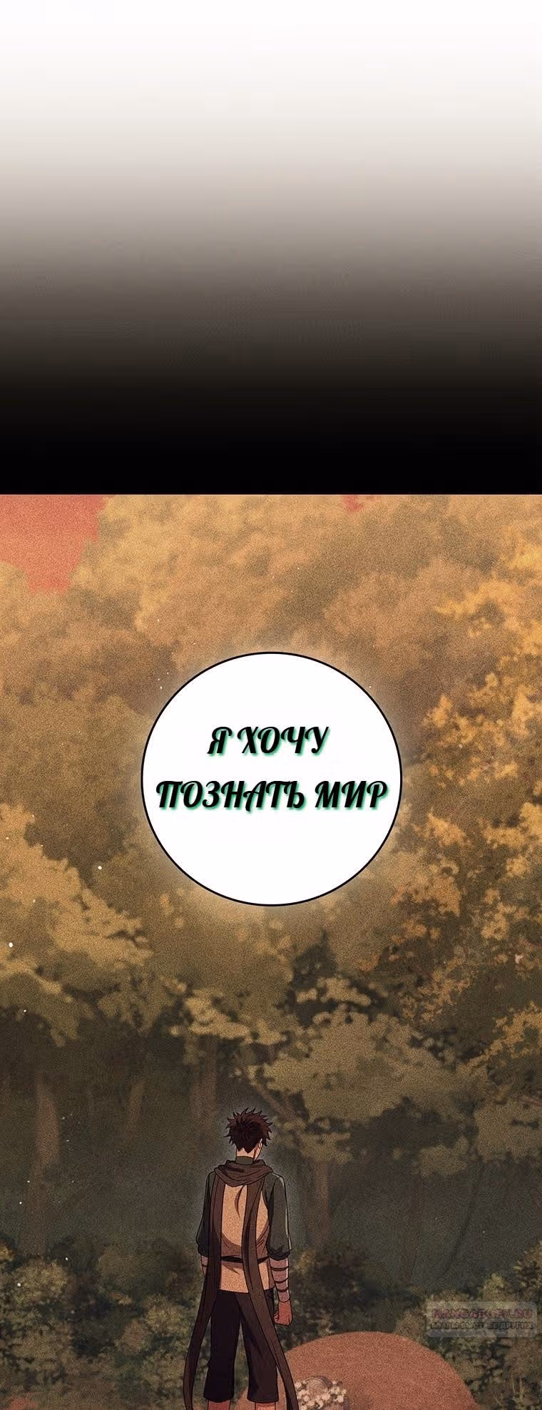 Леди-дракон — Том 1 · Глава 30, страница 8