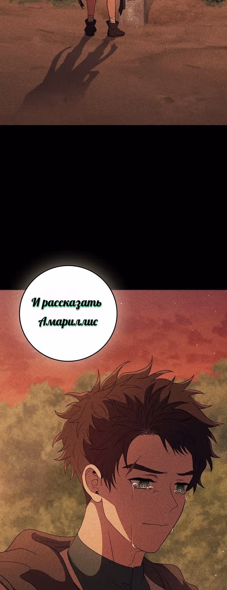 Леди-дракон — Том 1 · Глава 30, страница 9