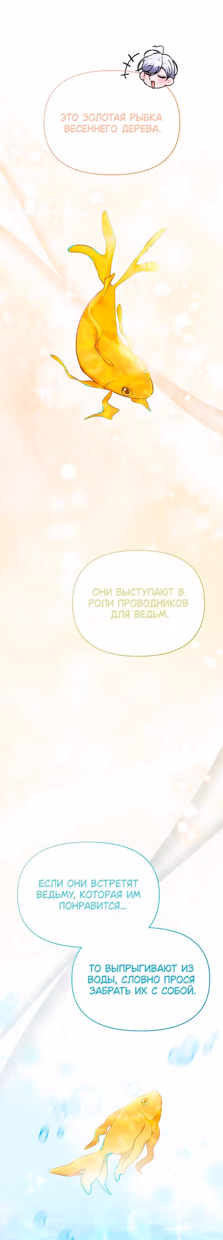 Когда дочь ведьмы снимет с главного героя проклятие — Том 1 · Глава 31, страница 23