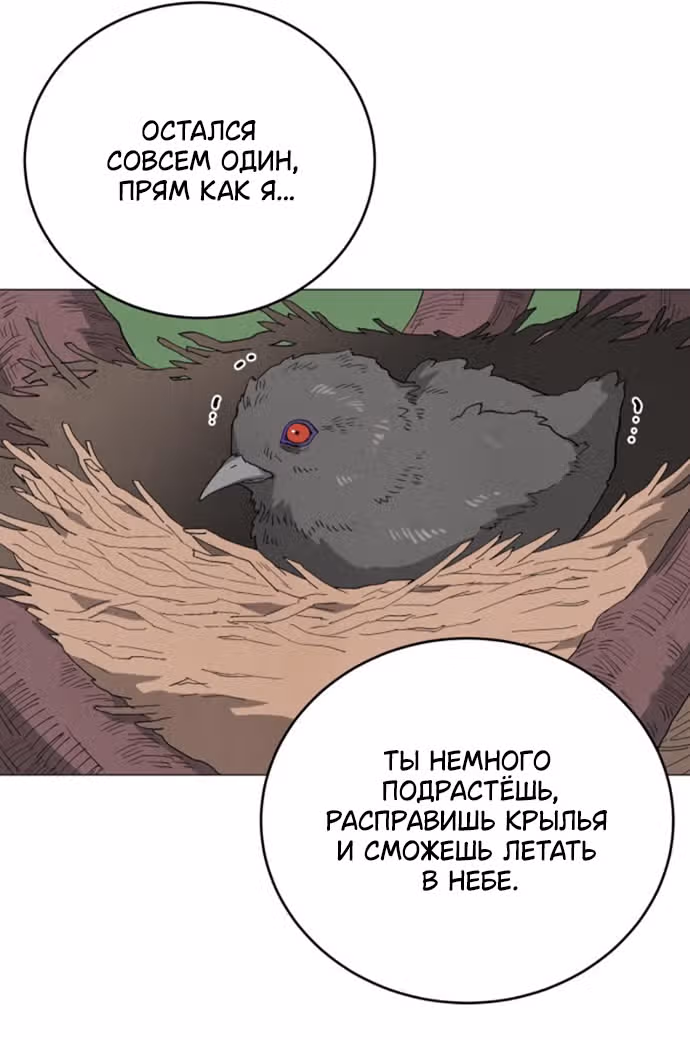 Сад для двоих — Том 2 · Глава 77, страница 39
