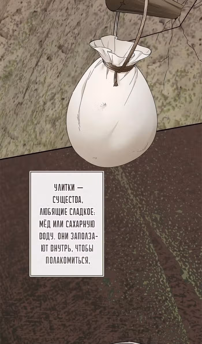 Элис: наложница императора — Том 1 · Глава 45, страница 38