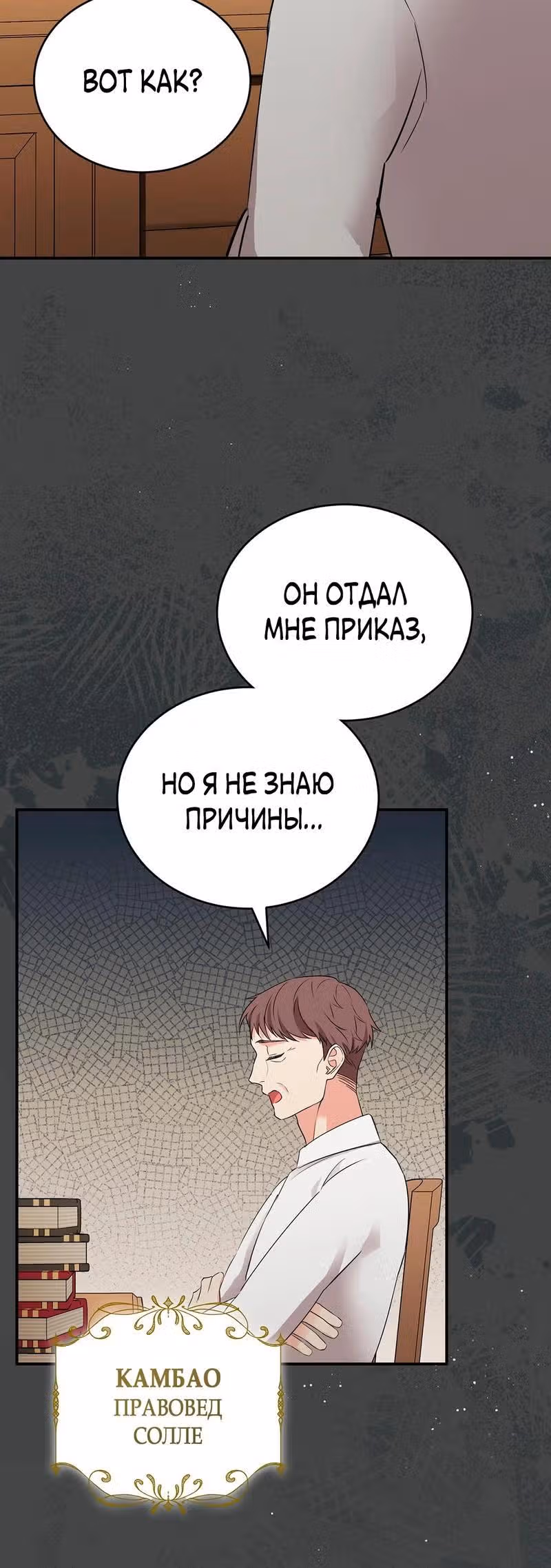 Наследие фей — Том 2 · Глава 56, страница 28
